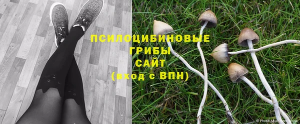кристаллы Абаза