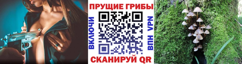 Галлюциногенные грибы мицелий  Костерёво 